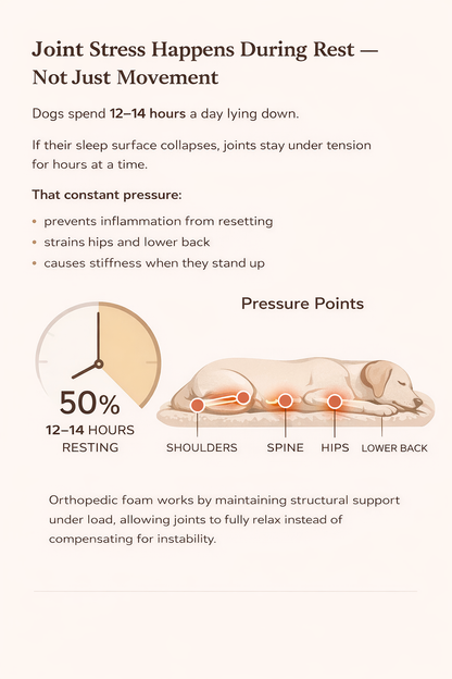 Orthopedic Plush Donut Bed for Pets