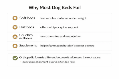 Orthopedic Plush Donut Bed for Pets